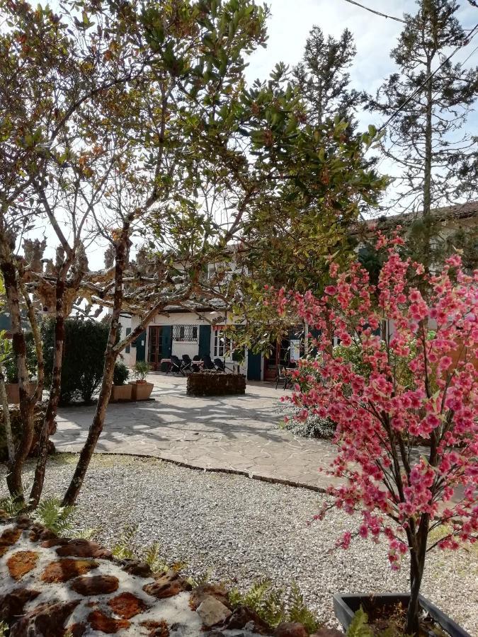 L'Auberge De Lugos Buitenkant foto